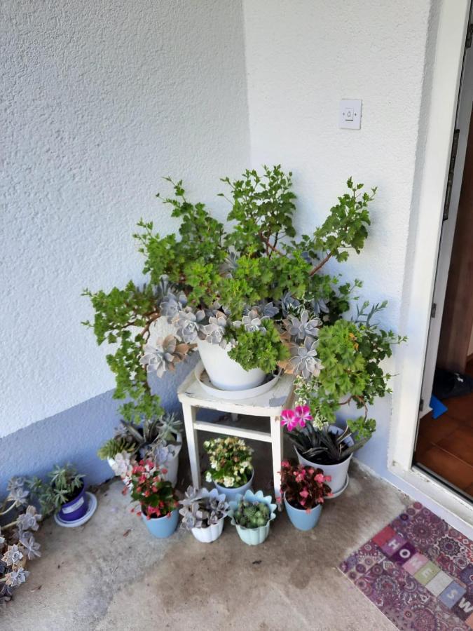 Apartmani Gracela 보디체 외부 사진